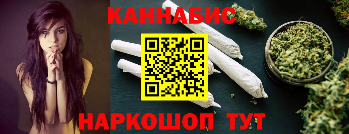 Канабис сатива Кинель